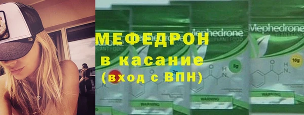 индика Богданович