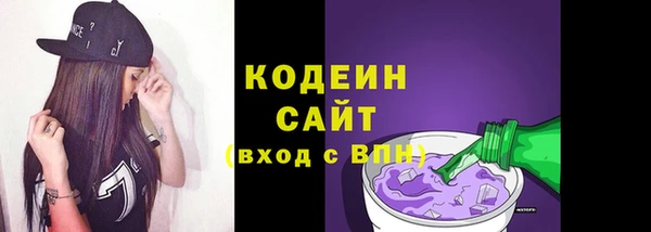 индика Богданович